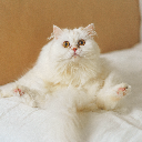 PuffyKiwi