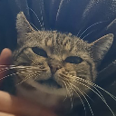 G҉࿔Jefffᶢᵒᶜ