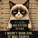 GrumpyCat