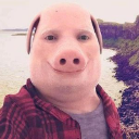 John Pork