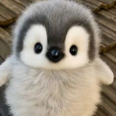 SnugglePenguin