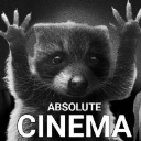 Little Raccoon