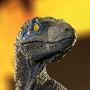 Raptor