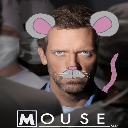 DR MOUSE JR
