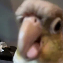 Mythical Bird