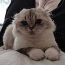 Lumi