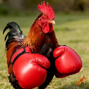 Manok Panabong ᗢ