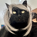 StellaBeezy
