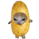 I===Potato===I