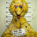 Bad Bird