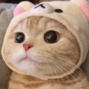야생화