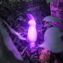 LostRabbit