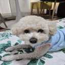 빡꾸띠