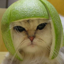 n0sliw ᴸᵀᴾ