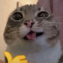 ily