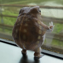 Zol
