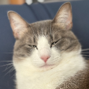 モフヲの執事