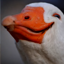 GOD Duck's Farm