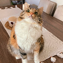 Aoihyuuˢʰᵃʳᵏ
