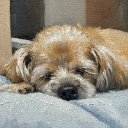 Puppy Rika