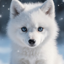 BaBeeWolf