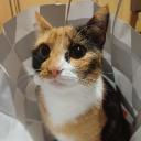 Mama Coco