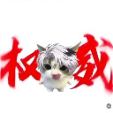豚貓123