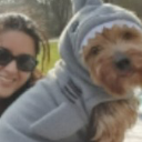 Bobby dog