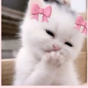 MilkyMew