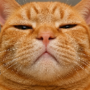 Meoowng▬▬▬