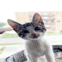 MiniVal