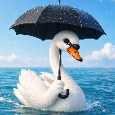 Swan