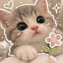 ༊෴EYRA〄࿐