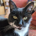 CharlieTb