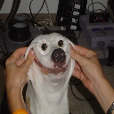 Mlep