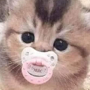 CATHATEDIBSY