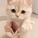 Scratchy