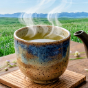 白湯茶