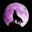 RosenWolf