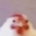 Chimken