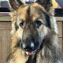 Jax