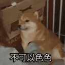 松山小ㄚ茹Ju1