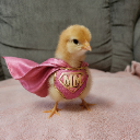 Mini Maya