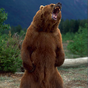 URSA MAJOR