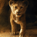 Simba Jr