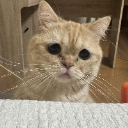 まーくん