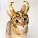 로키_Lokiᴸᴼᴸ