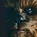 Chewbacca