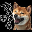 FUNKY 社畜イヌ໒꒱·ﾟ