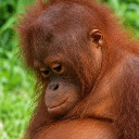 Monkeymann
